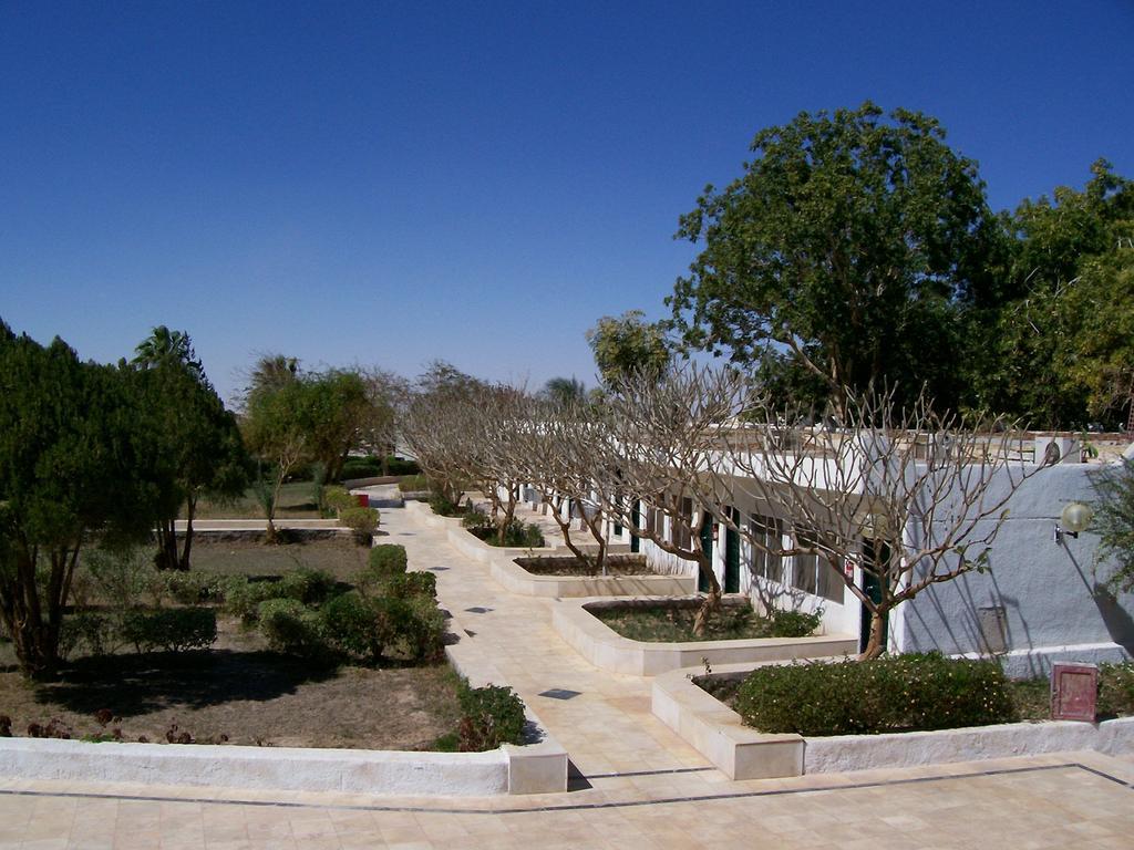 Nefertari Hotel Abu Simble 아부 심벨 외부 사진