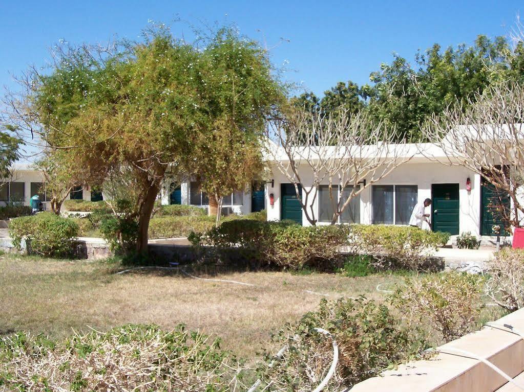 Nefertari Hotel Abu Simble 아부 심벨 외부 사진
