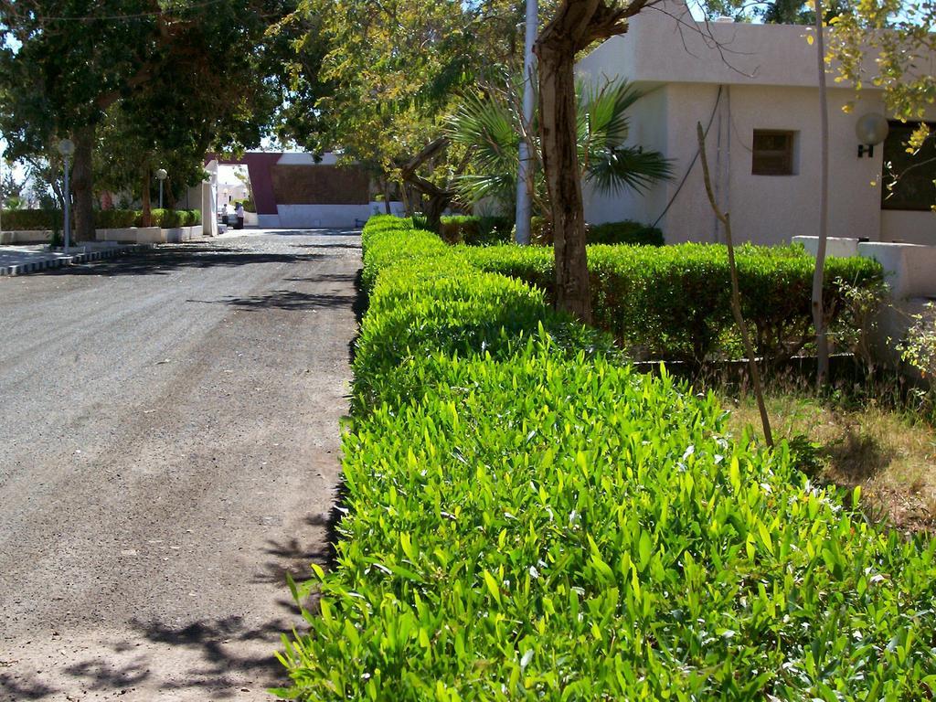 Nefertari Hotel Abu Simble 아부 심벨 외부 사진