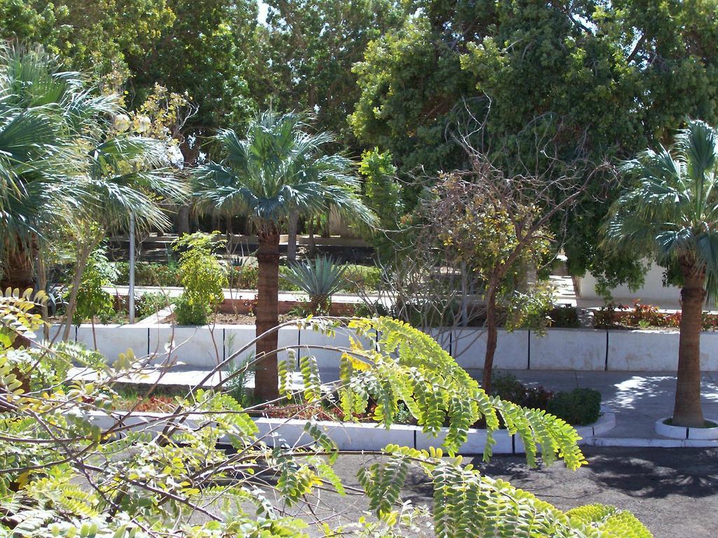 Nefertari Hotel Abu Simble 아부 심벨 외부 사진
