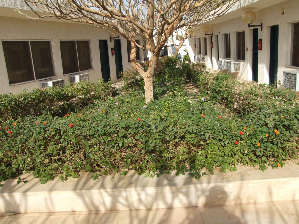 Nefertari Hotel Abu Simble 아부 심벨 외부 사진